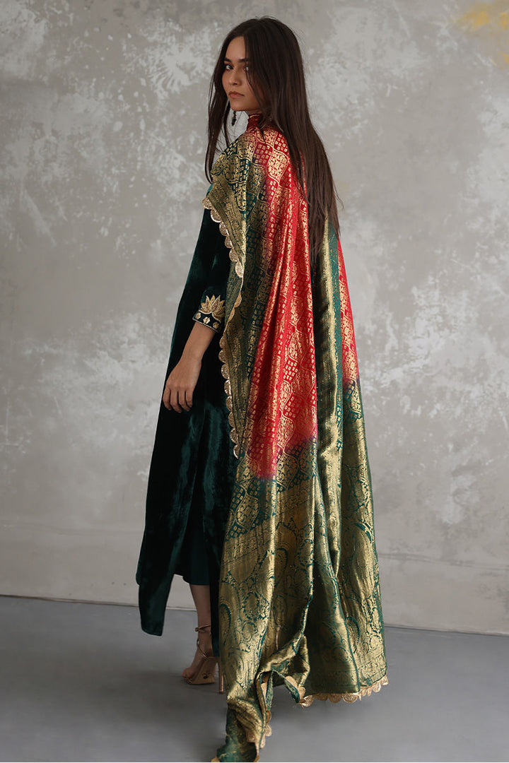 Rozina Munib | Velvets | MIRA-02 - House of Ayeza