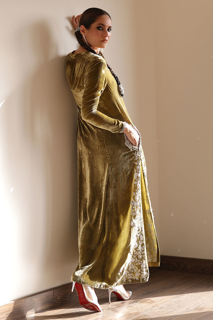 Rozina Munib | Velvets | N-2 - House of Ayeza