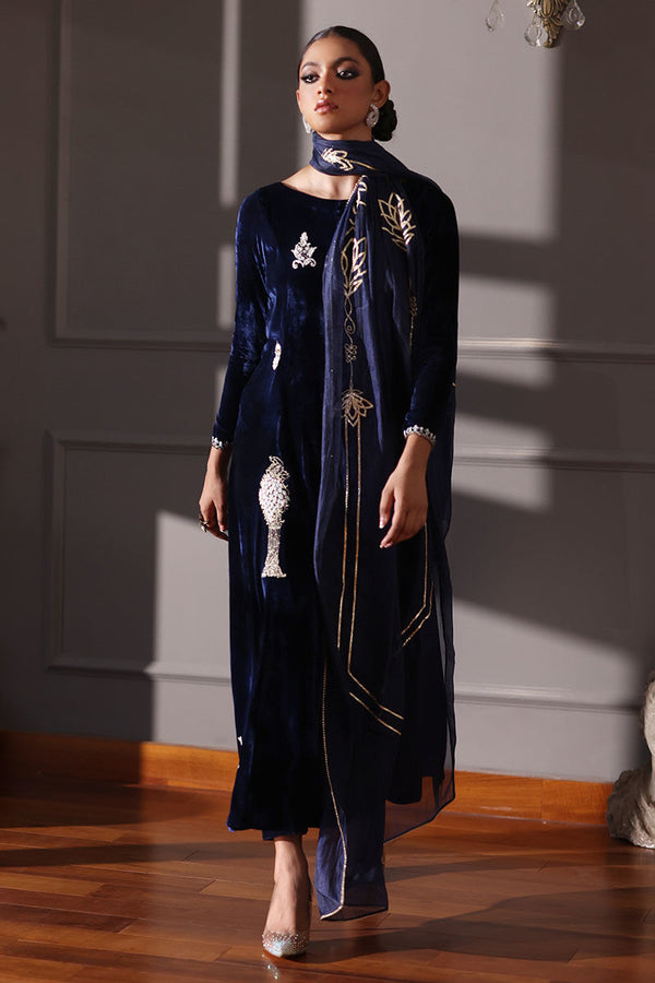 Rozina Munib | Velvets | N-5 - House of Ayeza