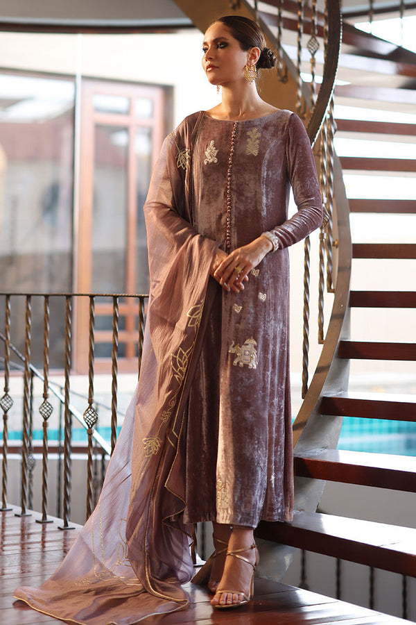 Rozina Munib | Velvets | N-6 - House of Ayeza