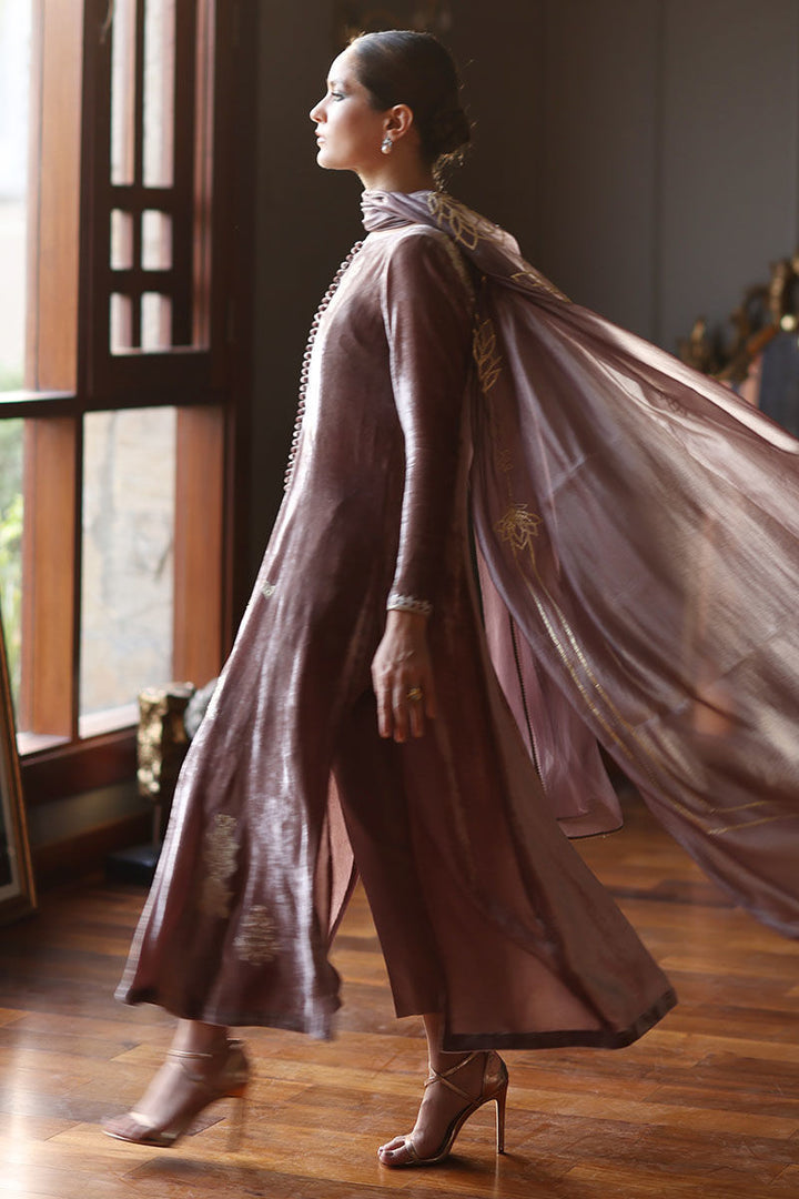 Rozina Munib | Velvets | N-6 - House of Ayeza