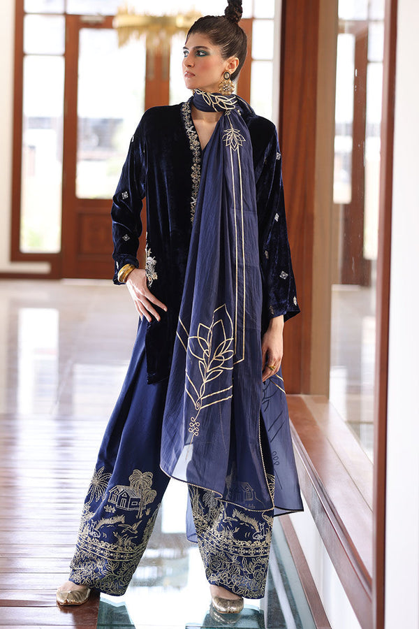 Rozina Munib | Velvets | N-10 - House of Ayeza