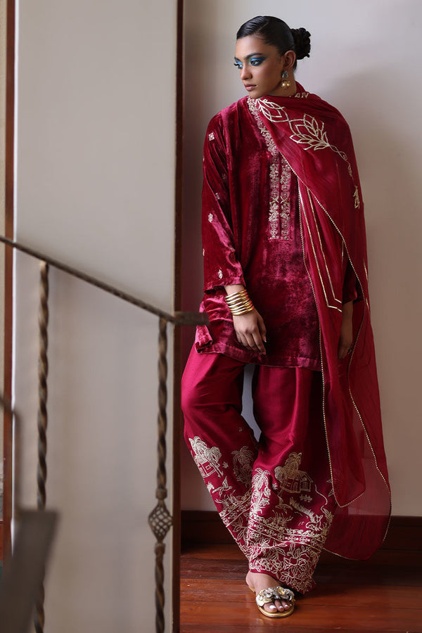 Rozina Munib | Velvets | N-11 - House of Ayeza