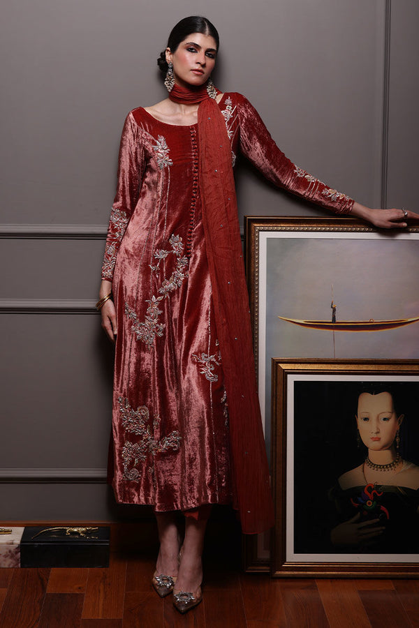 Rozina Munib | Velvets | N-14 - House of Ayeza