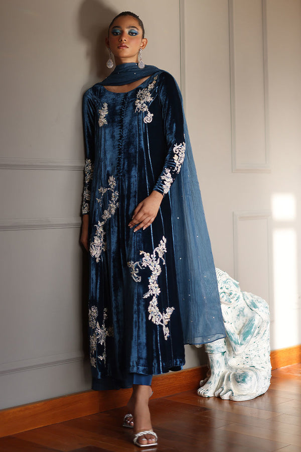 Rozina Munib | Velvets | N-15 - House of Ayeza