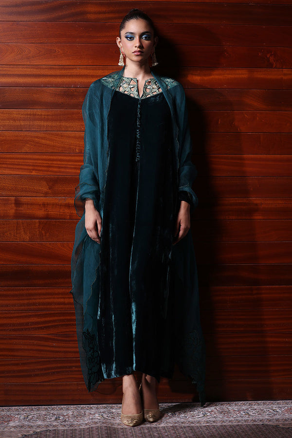 Rozina Munib | Velvets | N-17 - House of Ayeza