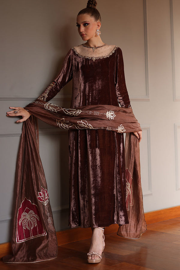 Rozina Munib | Velvets | N-18 - House of Ayeza