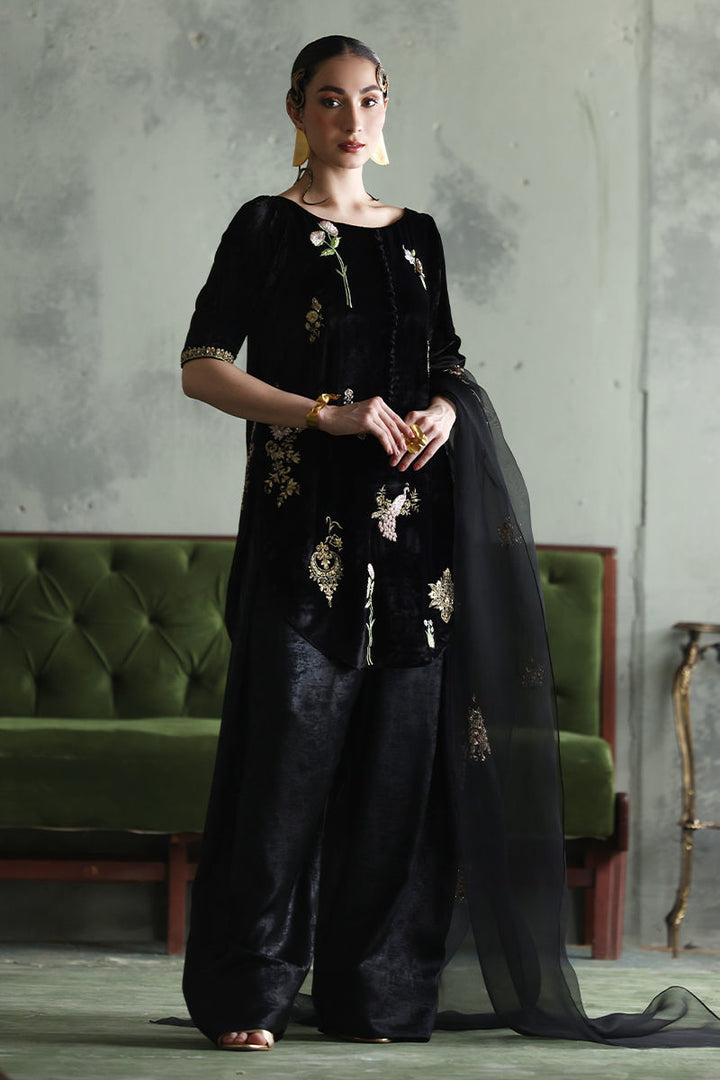 Vistara | Luxury Velvets | VV-20 - House of Ayeza