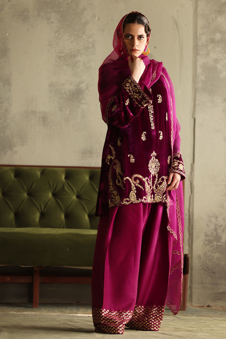 Vistara | Luxury Velvets | VV-24 - House of Ayeza