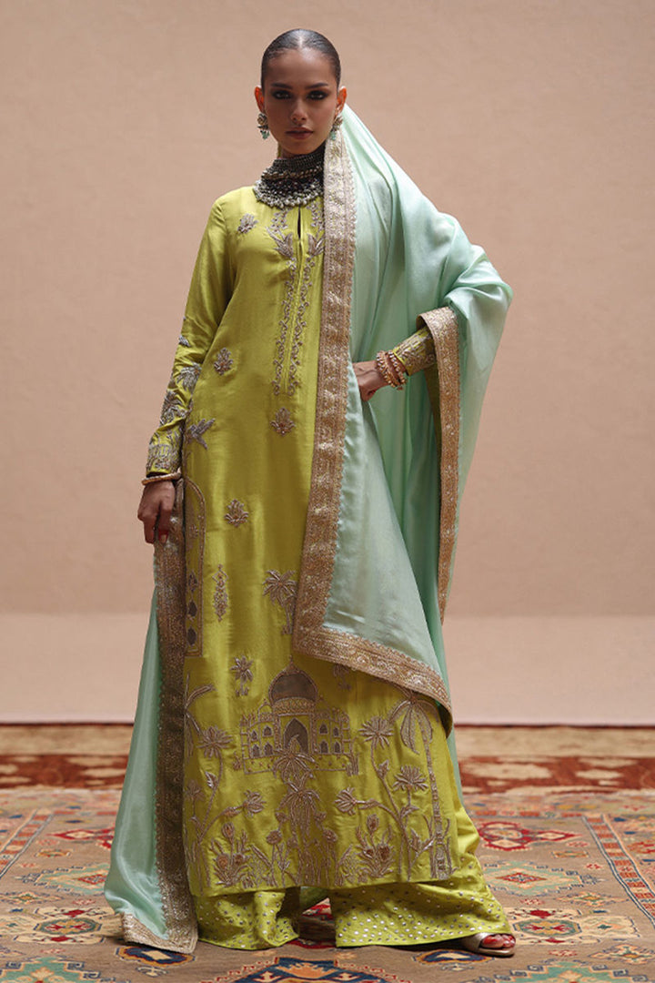 Rozina Munib | Lashkara Festive Couture 25-26 | L25-08 - House of Ayeza
