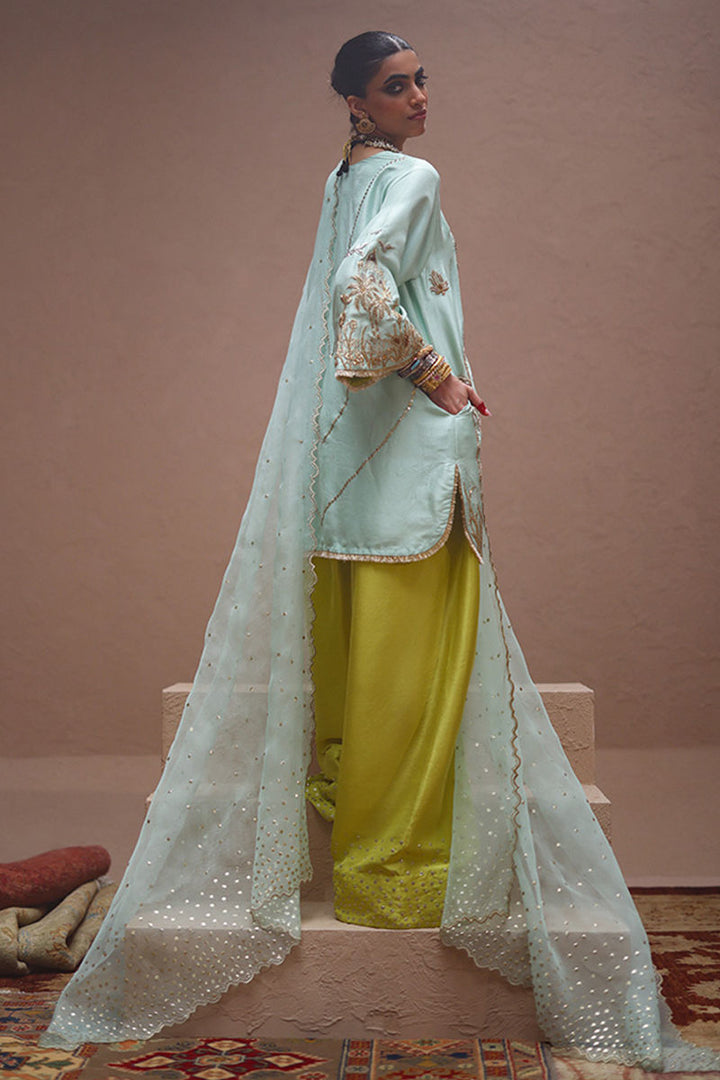 Rozina Munib | Lashkara Festive Couture 25-26 | L25-12 - House of Ayeza