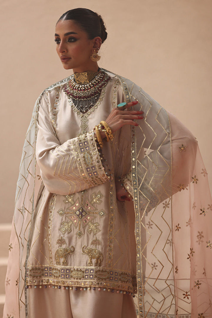 Rozina Munib | Lashkara Festive Couture 25-26 | L25-22 - House of Ayeza