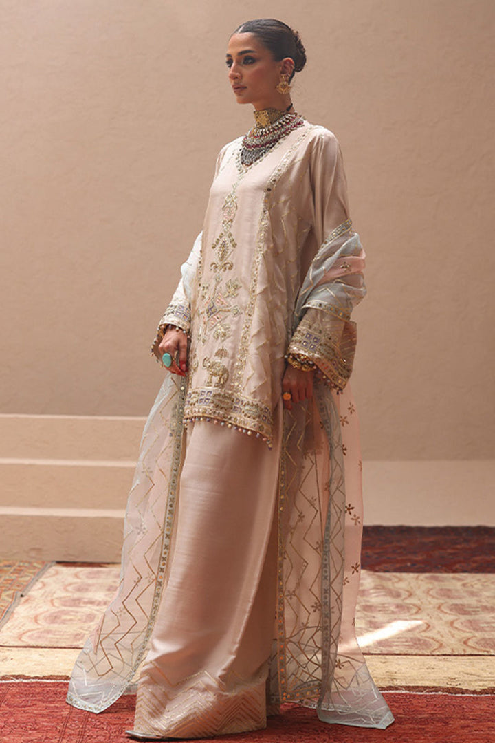 Rozina Munib | Lashkara Festive Couture 25-26 | L25-22 - House of Ayeza