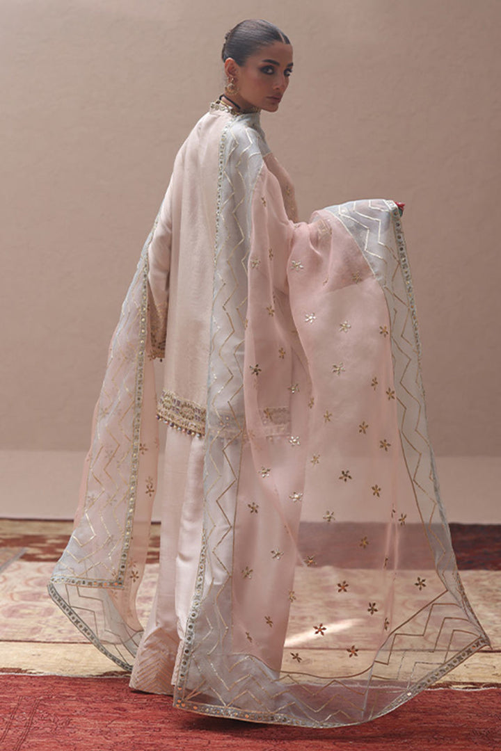 Rozina Munib | Lashkara Festive Couture 25-26 | L25-22 - House of Ayeza