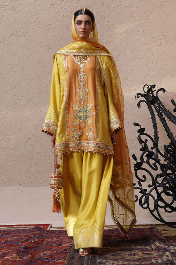Rozina Munib | Lashkara Festive Couture 25-26 | L25-23 - House of Ayeza