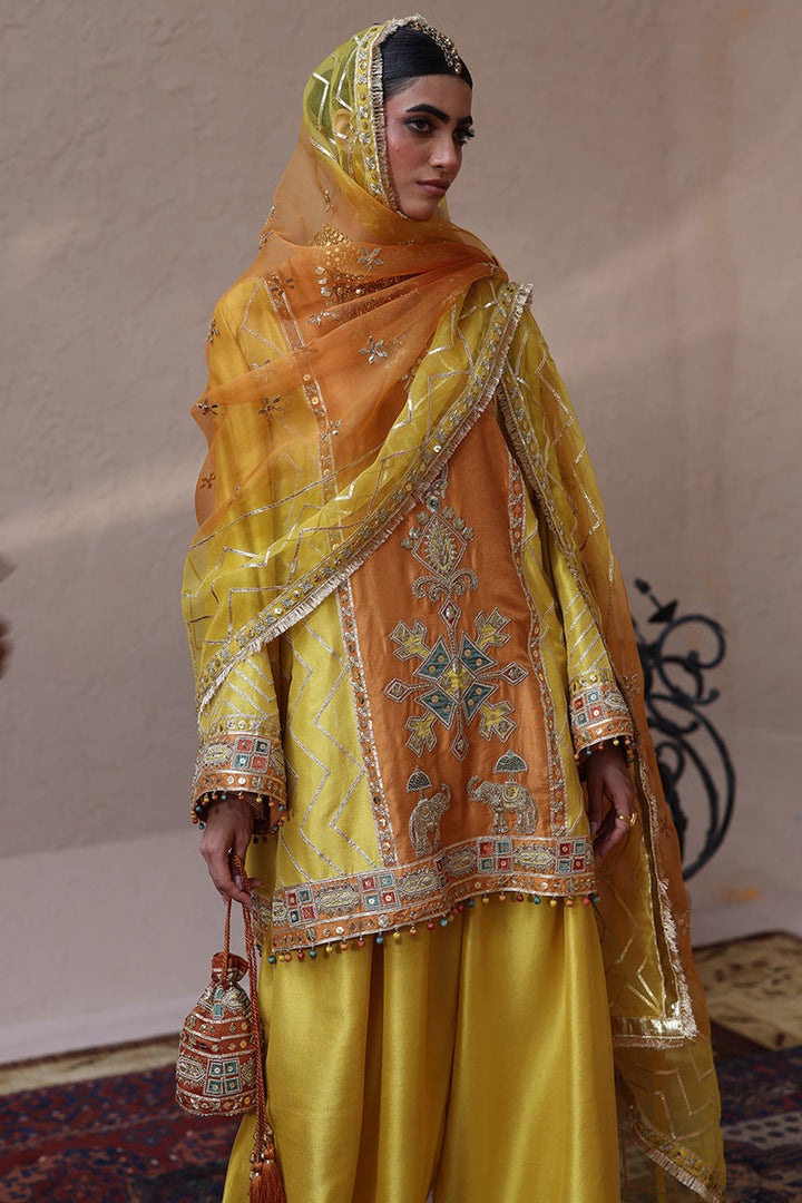 Rozina Munib | Lashkara Festive Couture 25-26 | L25-23 - House of Ayeza
