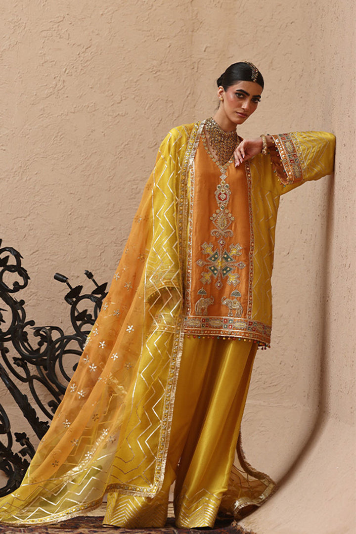 Rozina Munib | Lashkara Festive Couture 25-26 | L25-23 - House of Ayeza