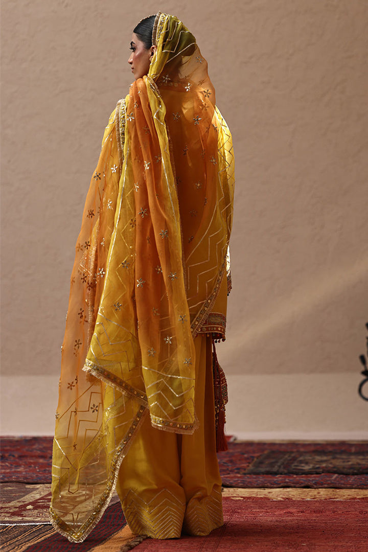 Rozina Munib | Lashkara Festive Couture 25-26 | L25-23 - House of Ayeza