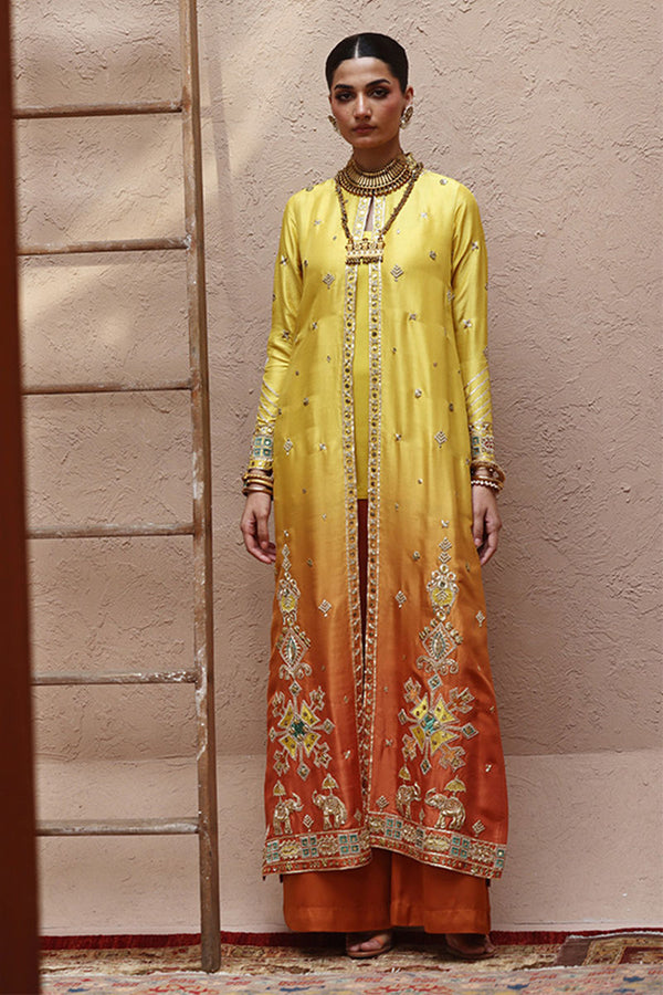 Rozina Munib | Lashkara Festive Couture 25-26 | L25-25 - House of Ayeza