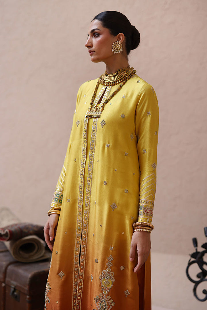 Rozina Munib | Lashkara Festive Couture 25-26 | L25-25 - House of Ayeza