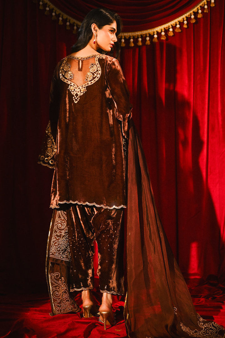 Ansab Jahangir | So Hot - Luxury Velvets | Roshni - House of Ayeza
