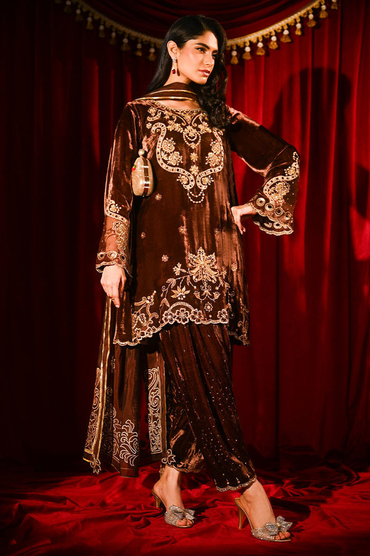 Ansab Jahangir | So Hot - Luxury Velvets | Roshni - House of Ayeza