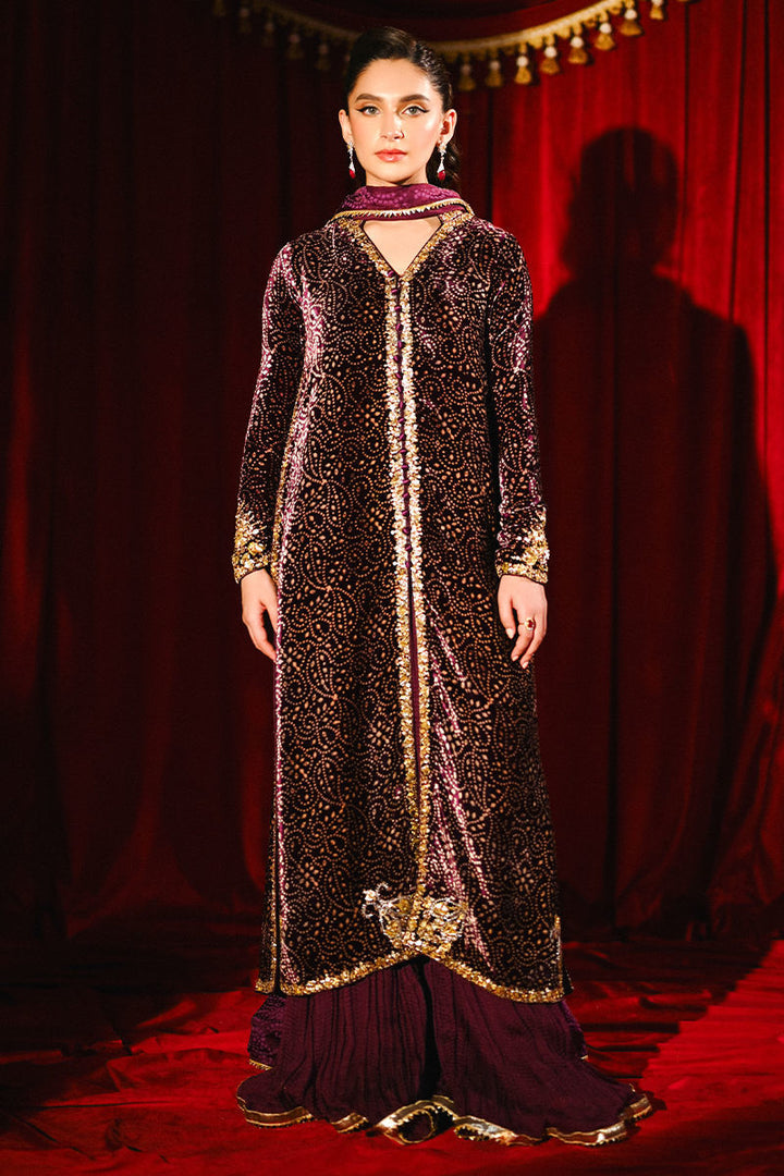 Ansab Jahangir | So Hot - Luxury Velvets | Sabeen - House of Ayeza