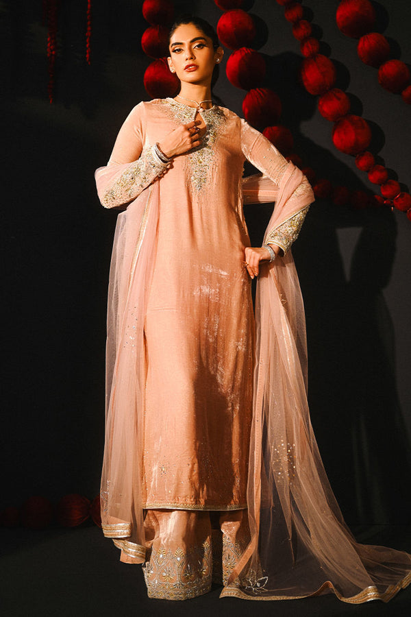 Ansab Jahangir | So Hot - Luxury Velvets | Nooreh - House of Ayeza