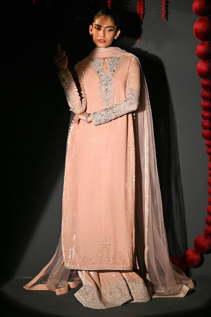 Ansab Jahangir | So Hot - Luxury Velvets | Nooreh - House of Ayeza