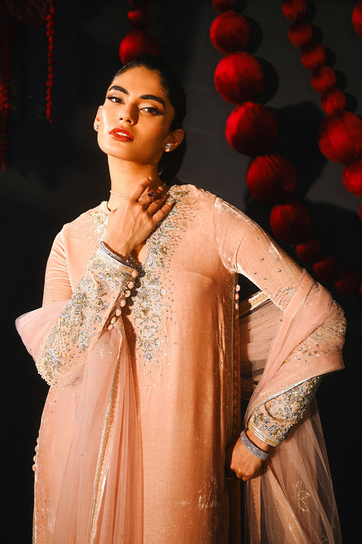 Ansab Jahangir | So Hot - Luxury Velvets | Nooreh - House of Ayeza