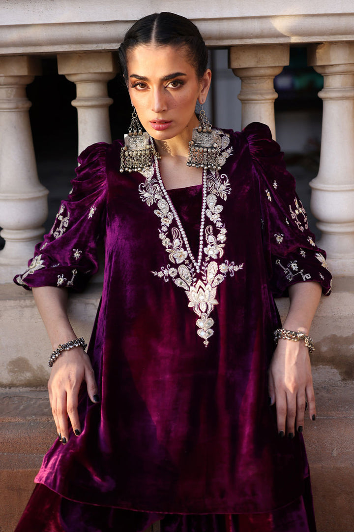 Rozina Munib | Fall/Winter 2025 -26 | FW25-23 - House of Ayeza