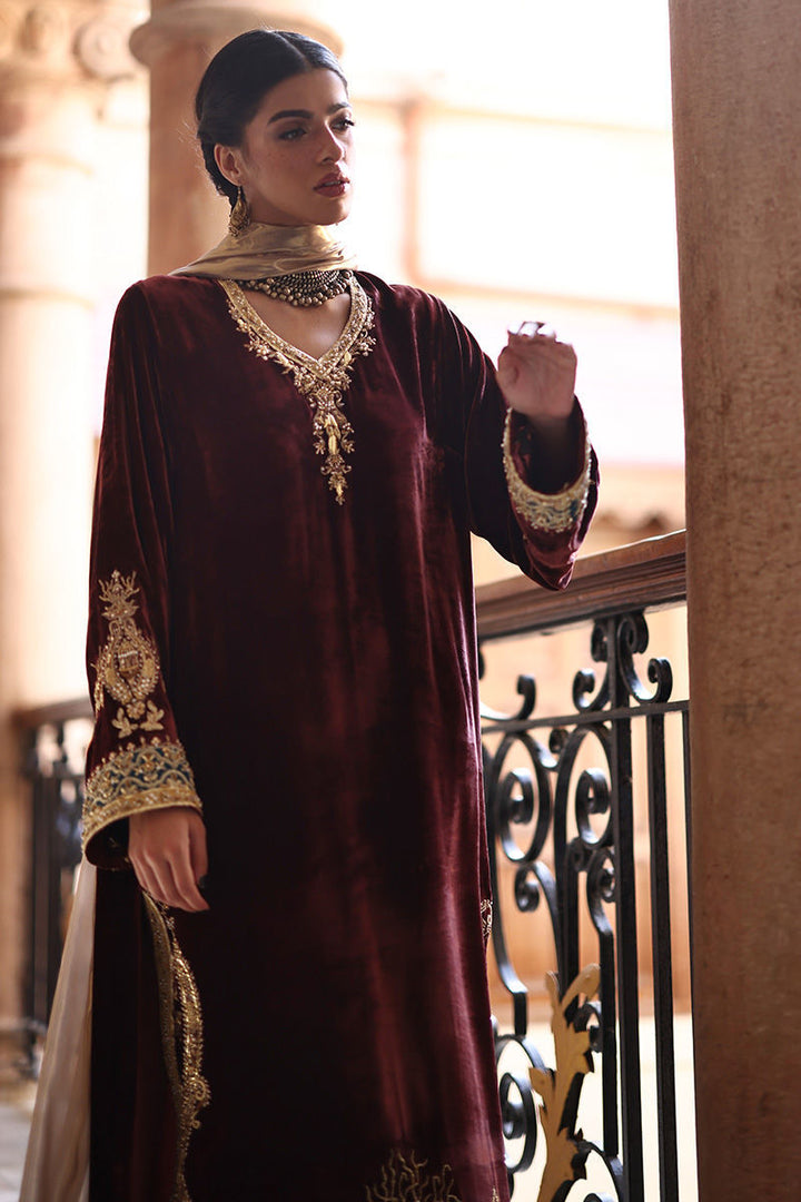 Rozina Munib | Fall/Winter 2025 -26 | FW25-31 - House of Ayeza