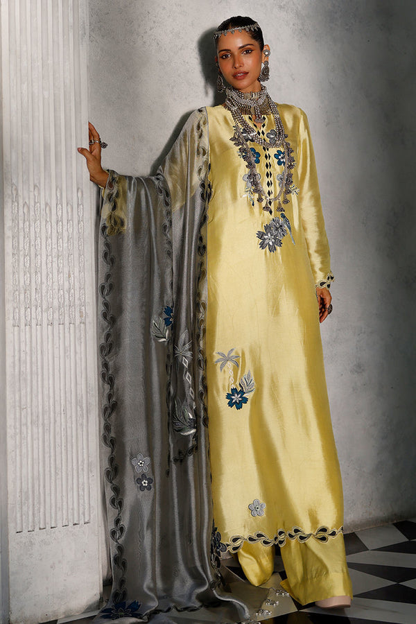Rozina Munib - Pakistani Designer Wear at House of Ayeza