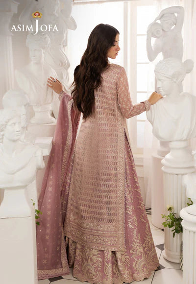 Asim Jofa | Izel | AJIZL-12 EMBROIDERED JAVERIA NET 3 PCS - House of Ayeza