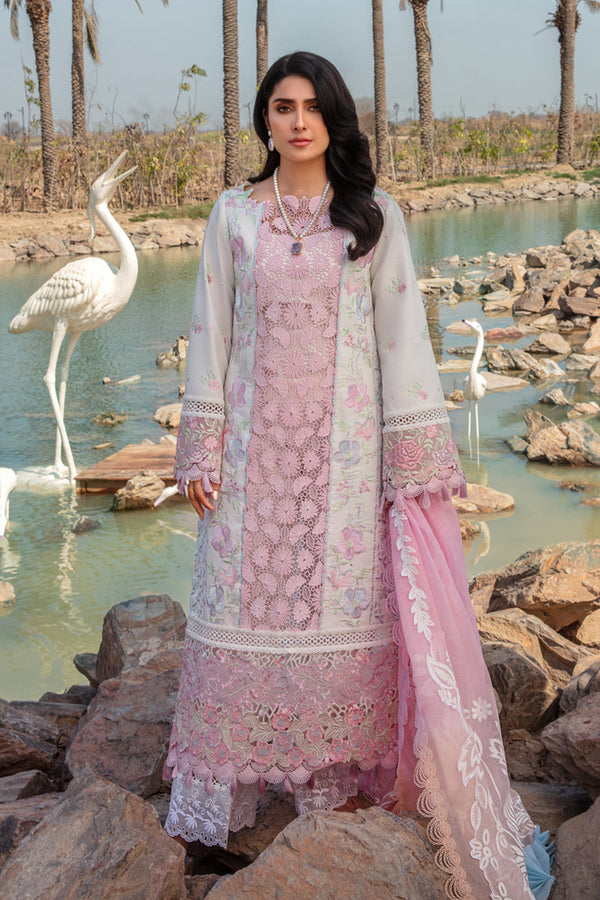 Rang Rasiya | Premium Eid Collection '24 | Hoorian