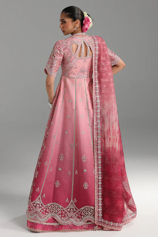 Qalamkar | Shadmaani Formals 2025 | RH-05 RAHMAH - House of Ayeza