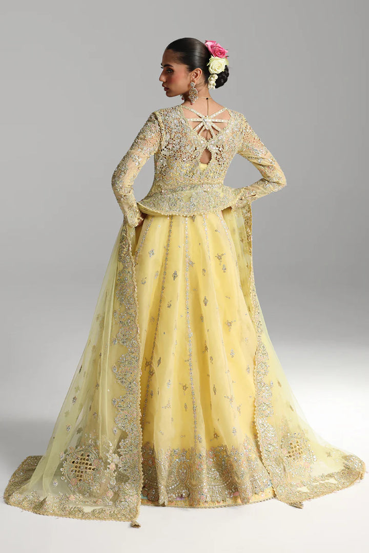 Qalamkar | Shadmaani Formals 2025 | RH-06 HOOR - House of Ayeza