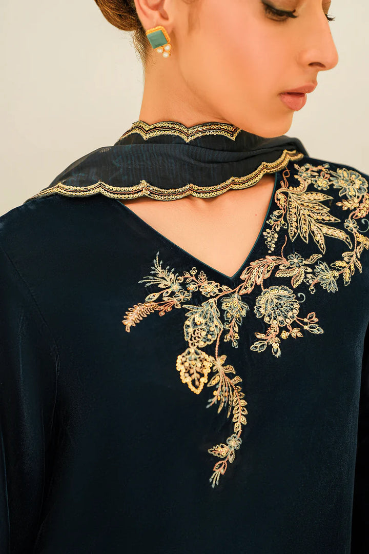 Baroque | Embroidered Velvet | PR-1017 - House of Ayeza