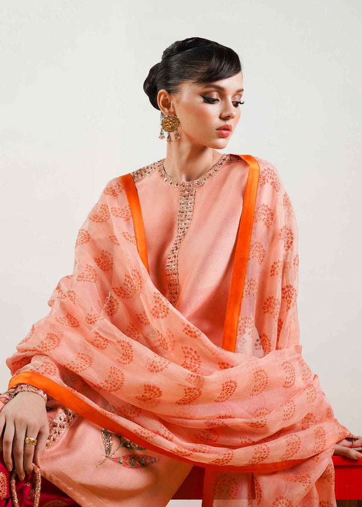 Hussain Rehar | Basic Not Basic 4 | Blush - House of Faiza