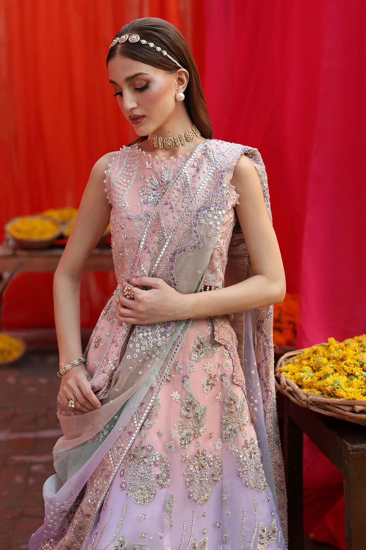 Nureh | Jhoomro | NL-81 Daria - House of Ayeza