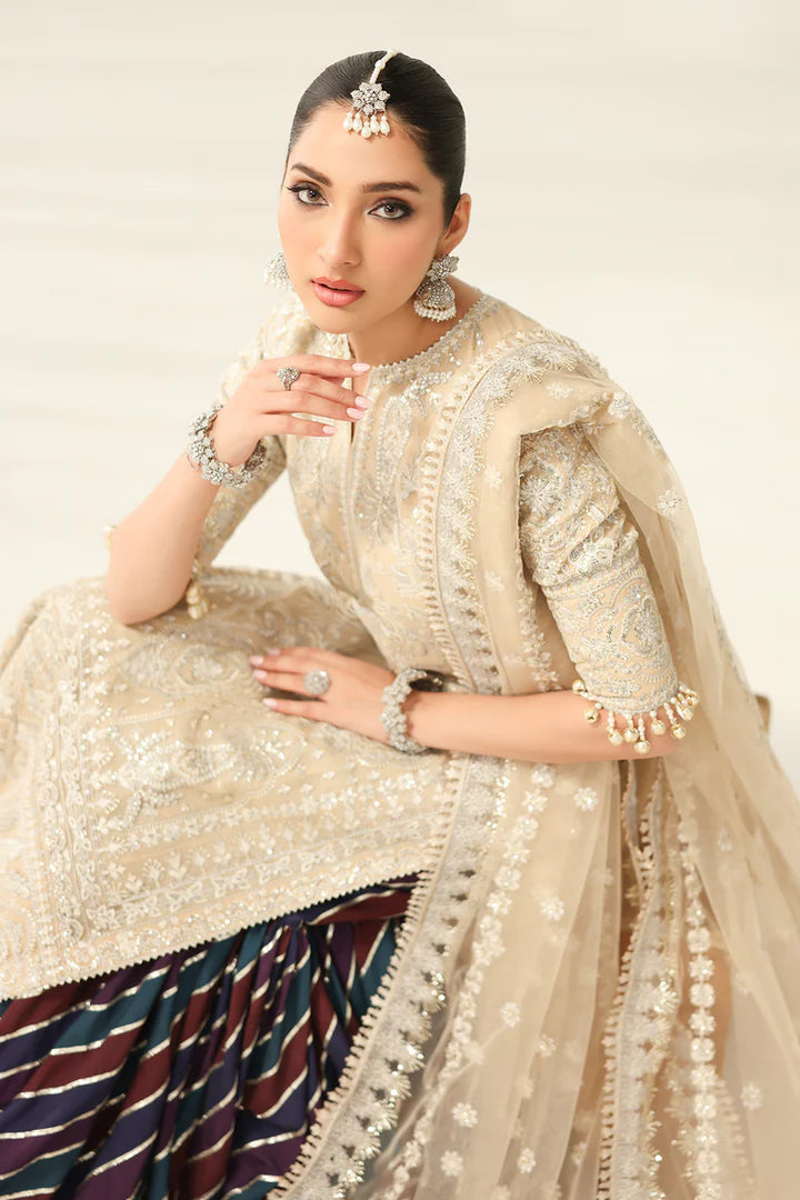 Baroque | EMBROIDERED NET SF-4183 - House of Ayeza