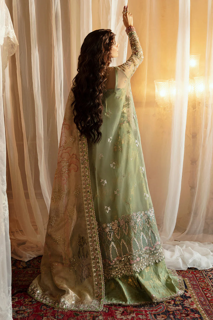 Afrozeh | Hayat 24 | Shreya - House of Ayeza