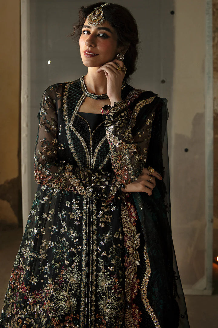 Afrozeh | Hayat 24 | Meera - House of Ayeza