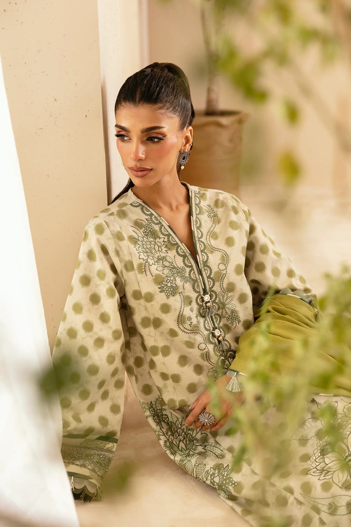 Ethnc | Rozana Stitched Collection '24 | E0450/203/126 - House of Ayeza