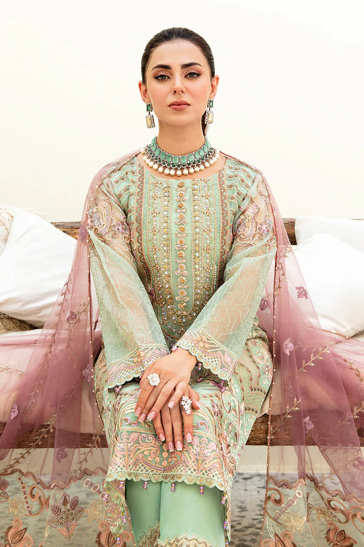 Ramsha | Minhal Organza | M-905 - House of Ayeza