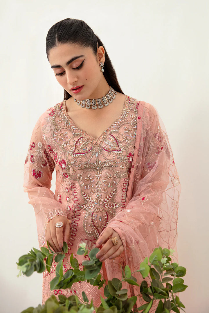 Ramsha | Minhal Organza | M-1007 - House of Ayeza