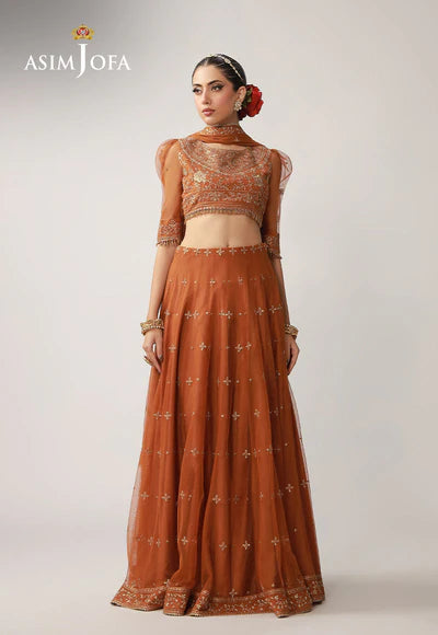 Asim Jofa | Layaan Festive | AJULO-01 Embroidered Net