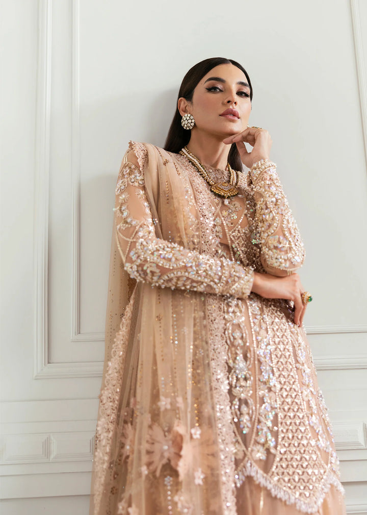 Crimson | Saira Shakira Stitched Wedding | Stardust - House of Ayeza