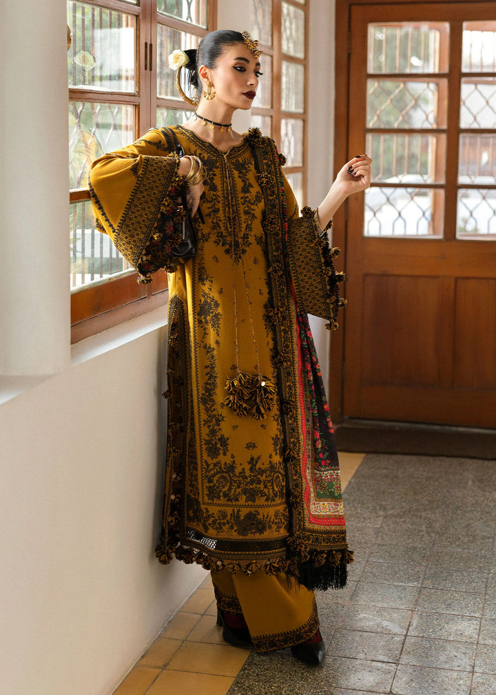 Hussain Rehar | Karandi A/W'24 | Saage - House of Ayeza