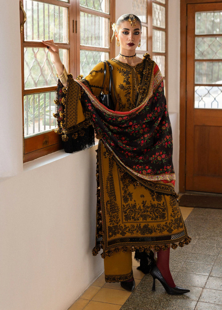 Hussain Rehar | Karandi A/W'24 | Saage - House of Ayeza